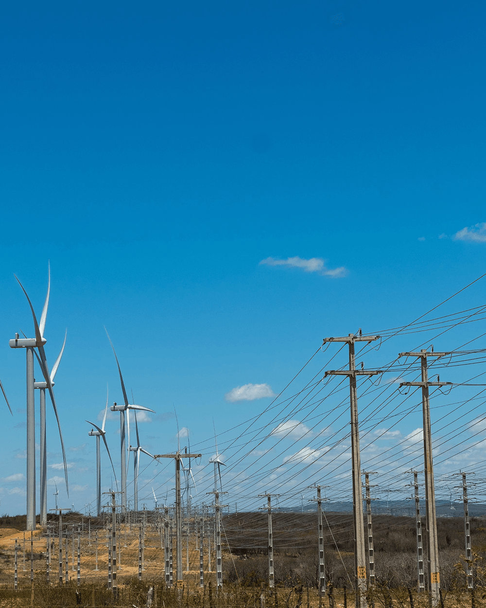 Casa dos Ventos e Mosaic Fertilizantes celebram acordo para produção de energia eólica